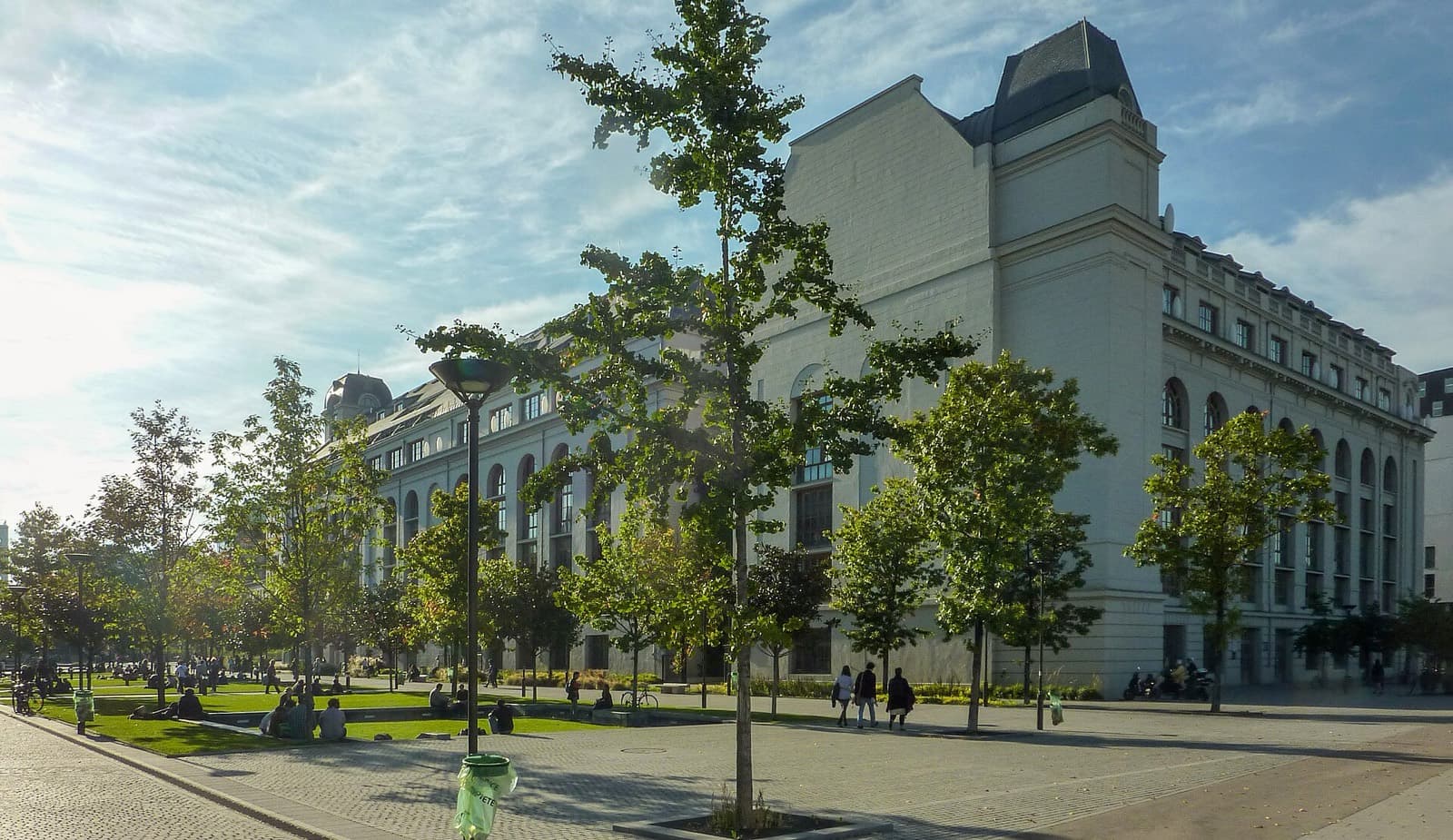Кампус Париж Рив Гош, Université Paris Cité